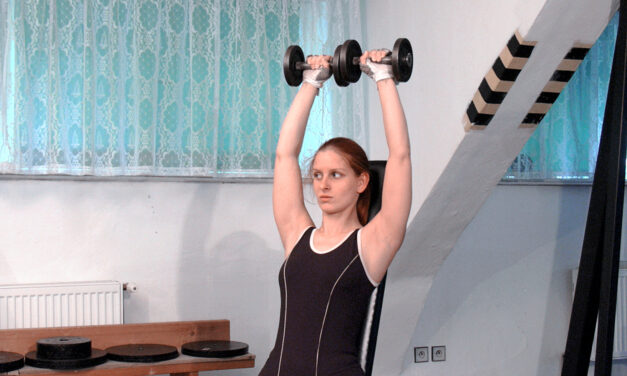 Tlaky s jednoručkami v sedu (seated dumbbell press)